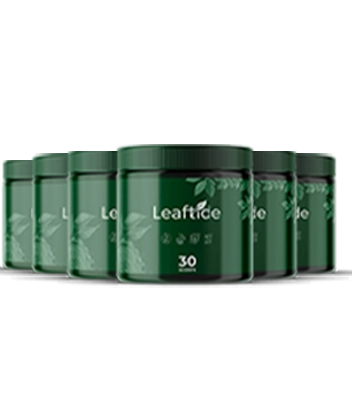 LeafTide Bottles